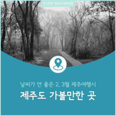 제주도 날씨 안좋은 2, 3월 제주여행 가볼만한 곳 소개