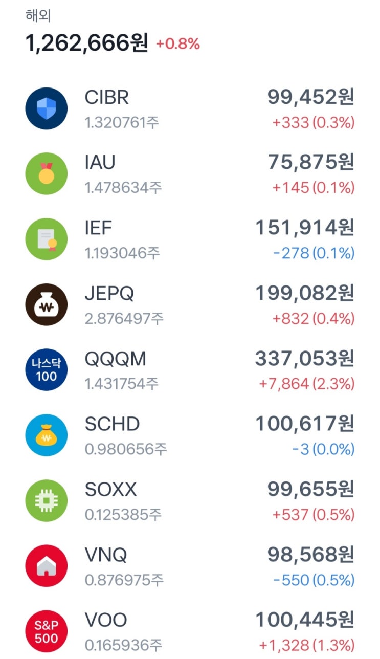  24년 1월 주식 투자 결산(매주 미국 EFT 적립식 투자 방법, QQQM, 인도 ETF, JEPQ 등)