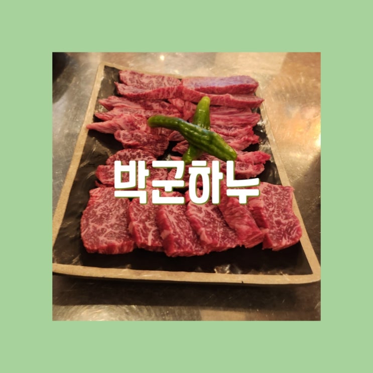 <b>중앙대</b> 맛집 박군하누 한우 투뿔 모둠 특수부위 고기집 후기