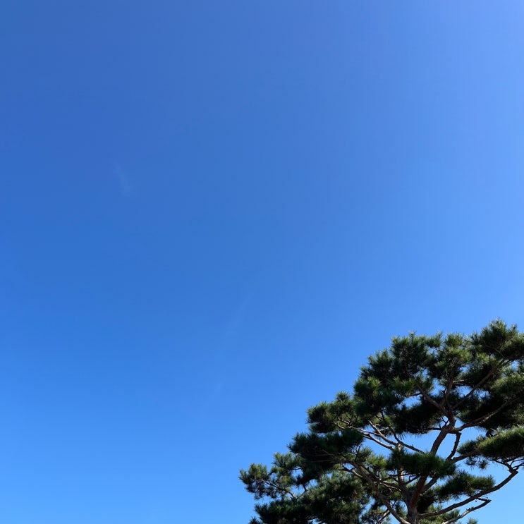  대전 근교 금산 여행 카페 추천 '뮤지엄 비'