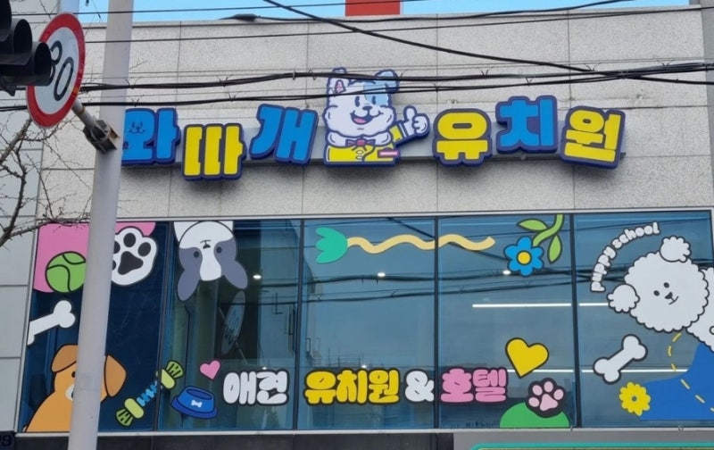 사진 5