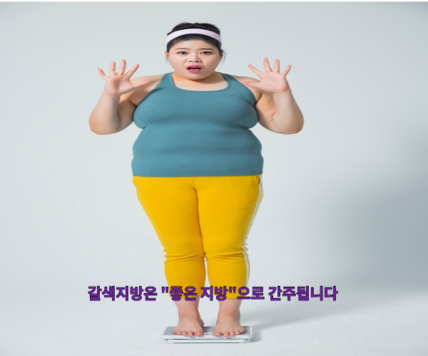  비만을 이기는 생활 습관 변화, 지방에도 좋은지방 나쁜지방이 있다.
