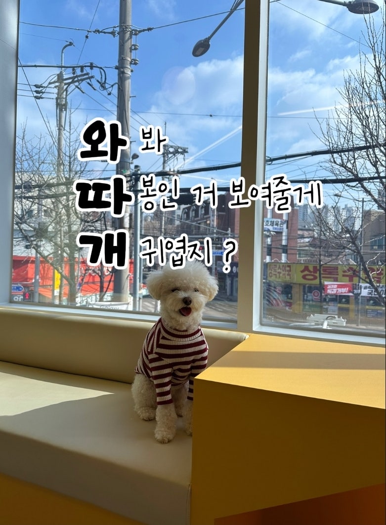 사진 4