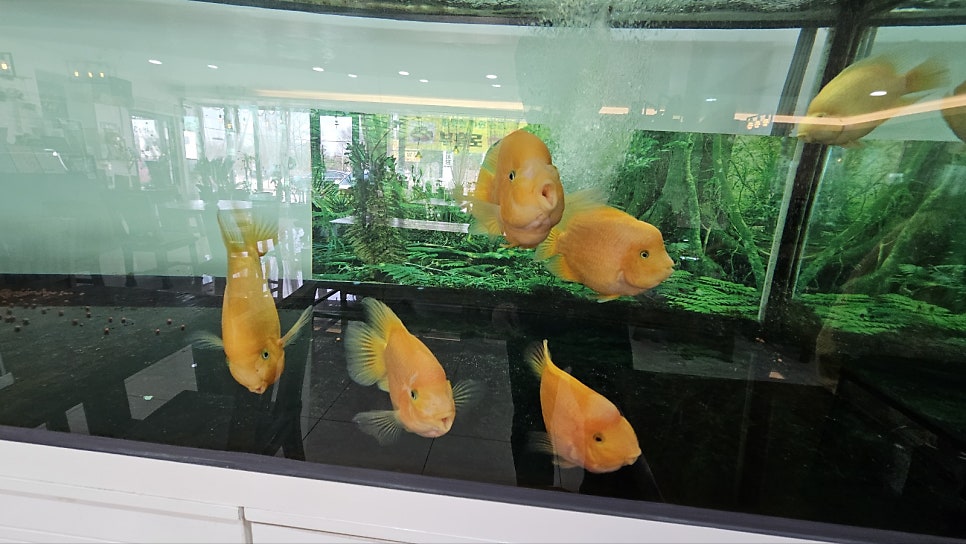 부흥로일번지 사진 4