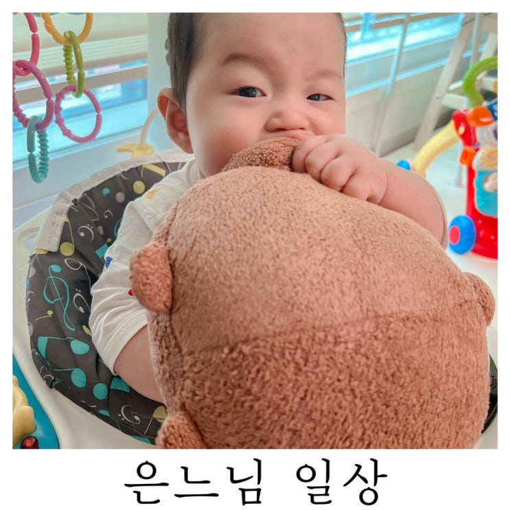  [은느님 일상]6개월부터는 철분이 부족해지는 시기라니 소고기 먹어보자규