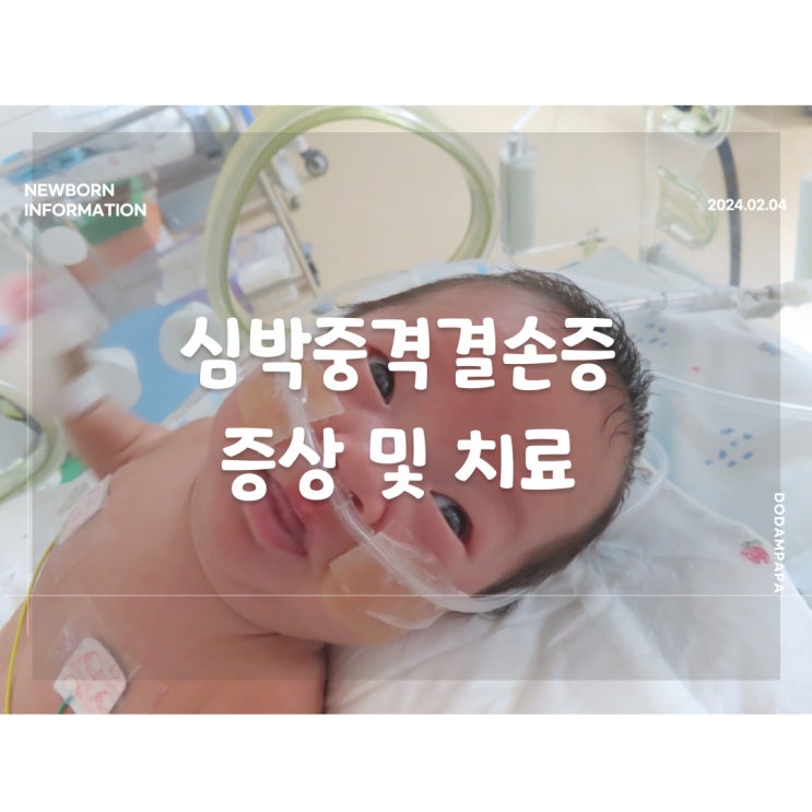 신생아 정보 심박중격결손증 증상 및 치료