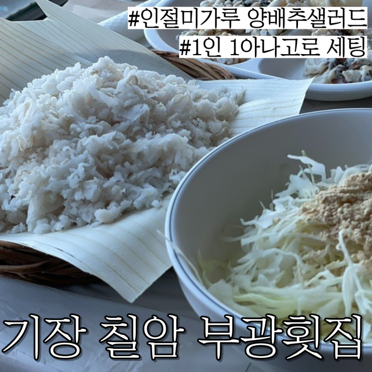  기장 칠암 회맛집: 인절미양배추샐러드와 함께 먹는 1인 1 아나고 (붕장어회) 칠암부광횟집