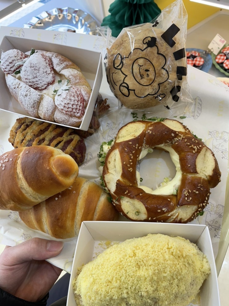  릴리베이커리 :: 건대 빵집 소금빵 맛집 추천 메뉴 놀토 간식