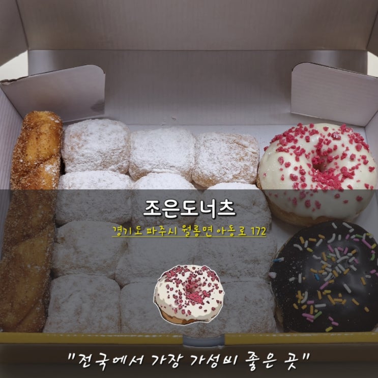  가성비 甲 파주 조은도너츠 추천 예약 픽업 당일 예약 가능