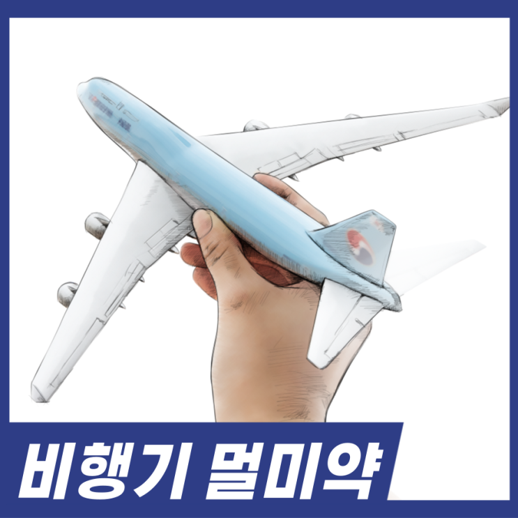  비행기 멀미약! 노보민 성분 효과 복용법 비행기 타기전 드세요.