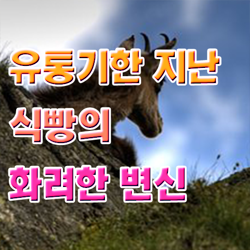  유통기한 넘긴 식빵 사용법 , 정보 가득 ~