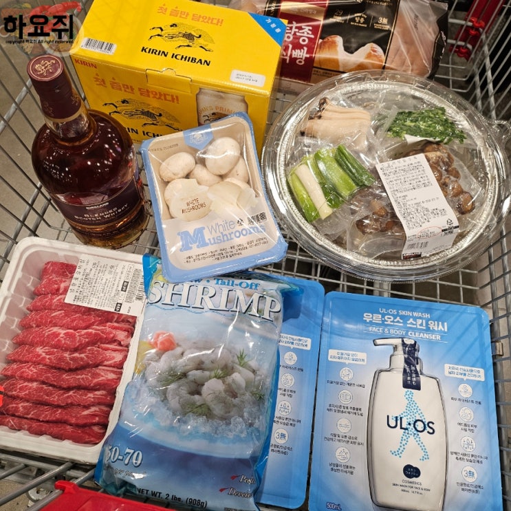  코스트코 공세점 2월 할인 상품 휴무일 설날 영업 안내