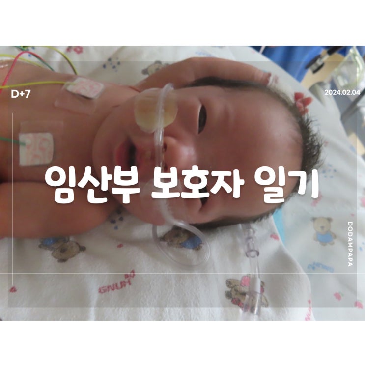 2024.02.04 임산부 보호자 일기 D+7일