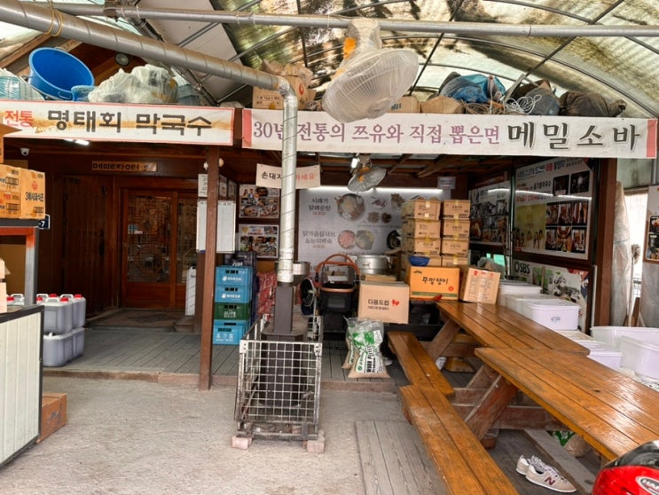  [과천] 과천 찐맛집 선바위 메밀 장터에서 막국수랑 해물파전!