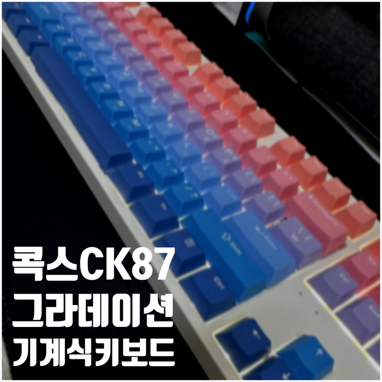  콕스 CK87선샤인 그라데이션 키보드 갈축 색감 타건감 구성품 확인해보기