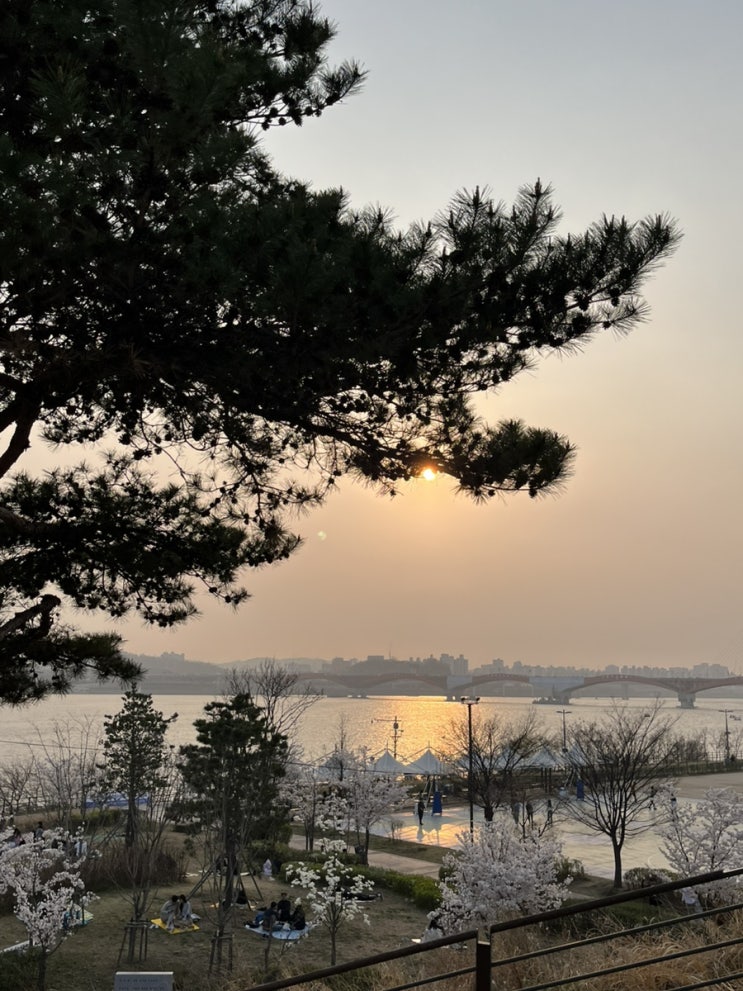  [블로그씨] #17 : 봄의 시작을 알리는 입춘날이 왔네요. 따뜻한 봄이 오면 꼭 하고 싶은 일이 있나요?