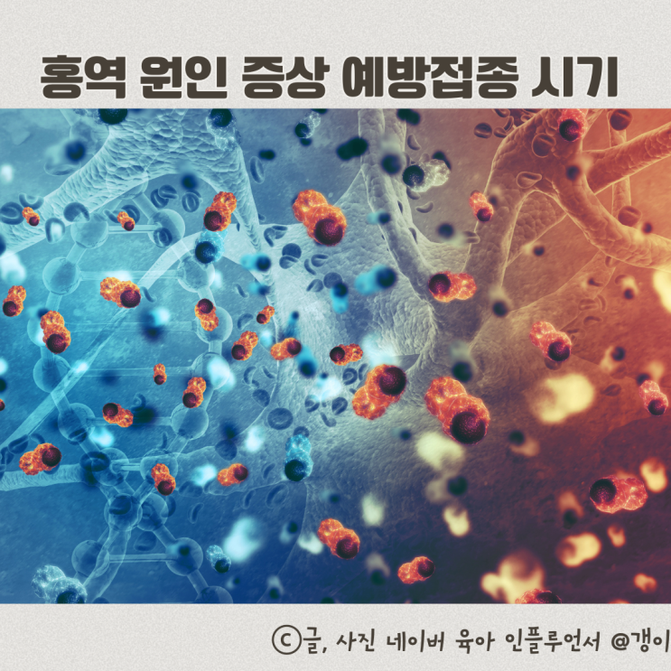  성인 홍역 원인 증상 예방접종 시기