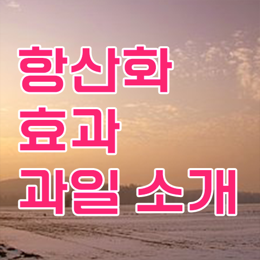  항산화 음식 효능 제가 알려드릴게요 !!!