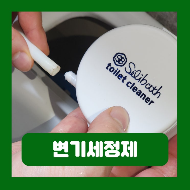  변기청소 리필 편한 직수 변기세정제 실리바스