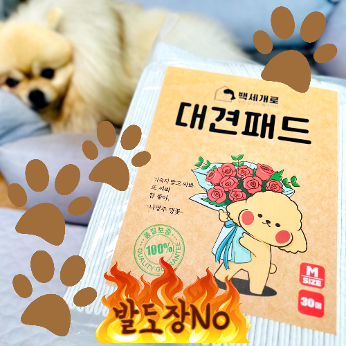  백세개로 대견패드 중형, 발도장 찍는 아이를 위한 두꺼운 강아지배변패드 정착 후기!