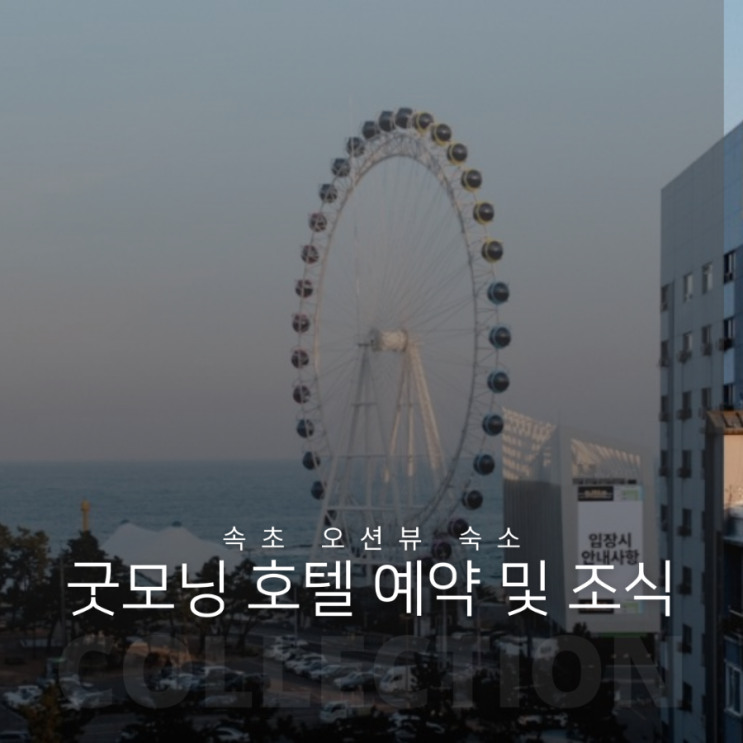  속초 여행 조식 포함 오션뷰 숙소 굿모닝호텔 할인 예약 방법