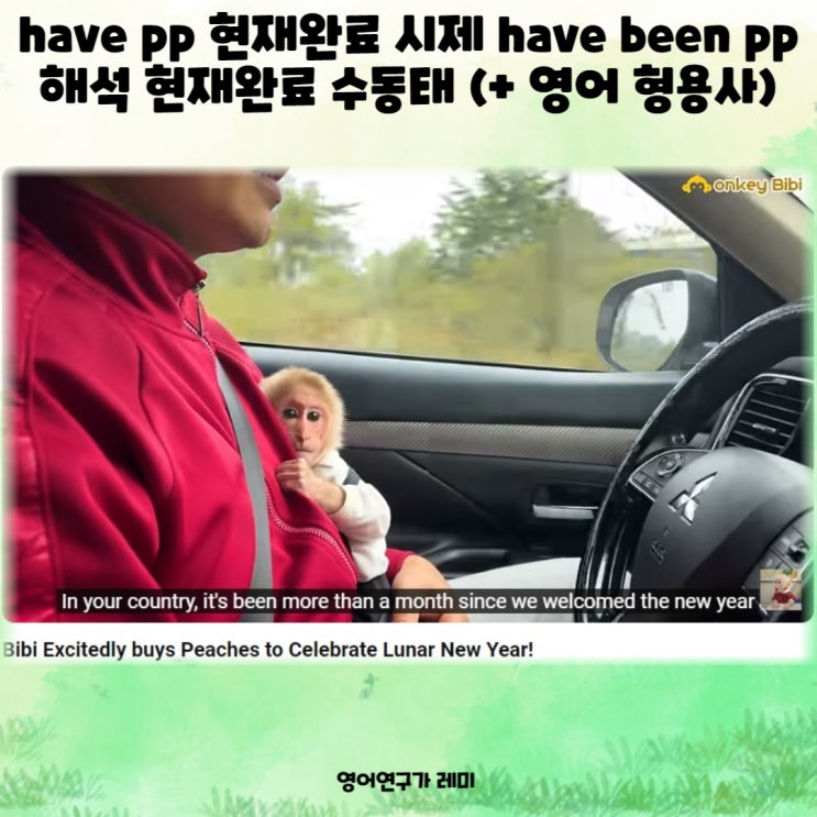 have pp 현재완료 시제 have been pp 해석 현재완료 수동태 (+ 영어 형용사)