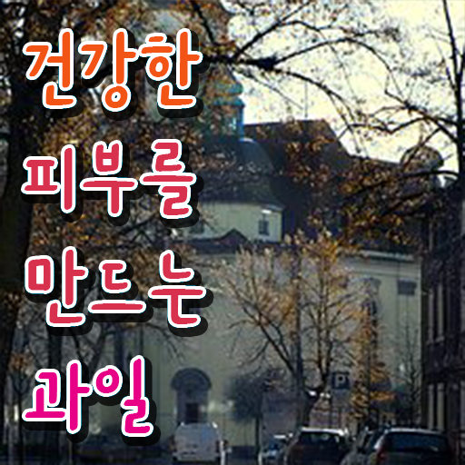  건선 피부에 좋은 과일 추천 전격분석 .