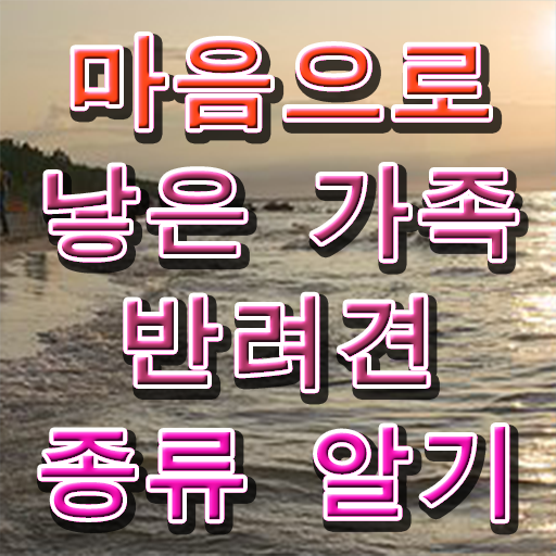 반려동물 관리사 학원 1급 정보 제공 ~