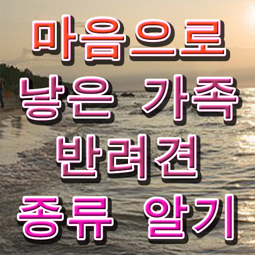  반려동물 관리사 학원 1급 정보 제공 ~