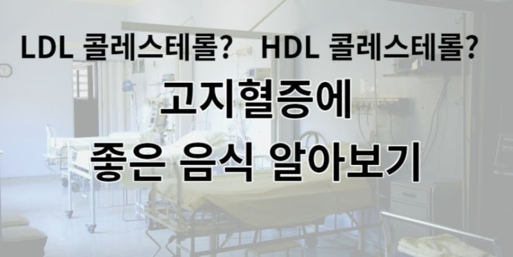  고지혈증 좋은 음식 안 좋은 음식