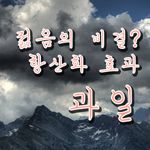  항산화 채소 과일 효과 Check ~