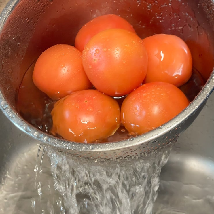  다이어트에 좋은 토마토 세척 및 냉장 보관 방법