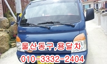 울산동구용달 정자 양남 입실 모화 울릉 제주 방어진. 울산동구용달 정자 양남 입실 모화 울릉 제주 방어진.