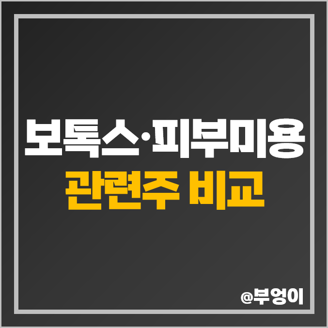 보톡스 관련주 피부미용 주식 대장주 메디톡스 주가 제테마 보톡스 관련주 피부미용 주식 대장주 메디톡스 주가 제테마