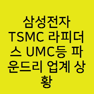  삼성전자 TSMC 라피더스 UMC등 파운드리 업계 상황