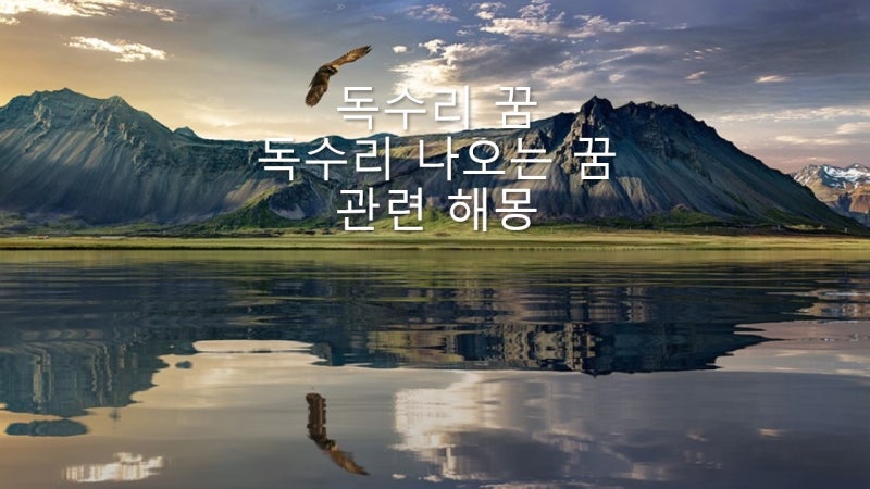 독수리 꿈 관련 해몽 독수리 나오는 꿈 의미는?