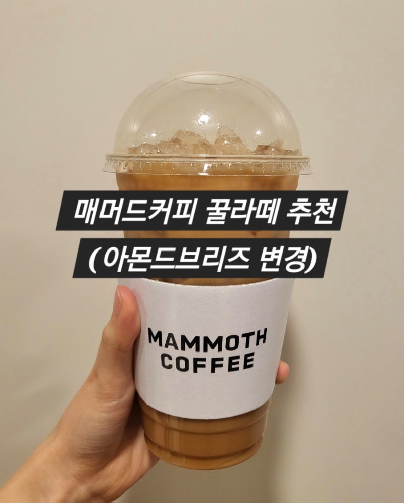 카페] 다이어터에게 추천하는 매머드커피 꿀라떼 조합 : 네이버 블로그