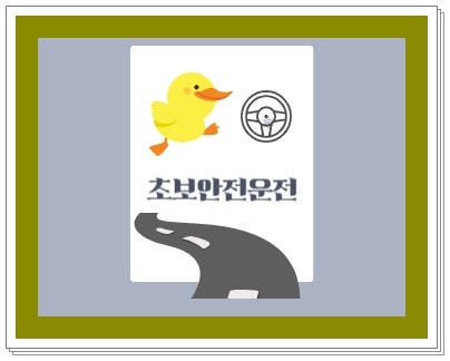  안전한 운전 초보를 위한 필수 팁