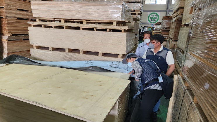 불법·불량 수입합판 점검 강화한다! 불법·불량 수입합판 점검 강화한다!