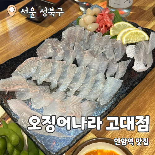  싱싱오징어바다 : 고려대맛집 싱싱한 횟집 내돈내산 후기