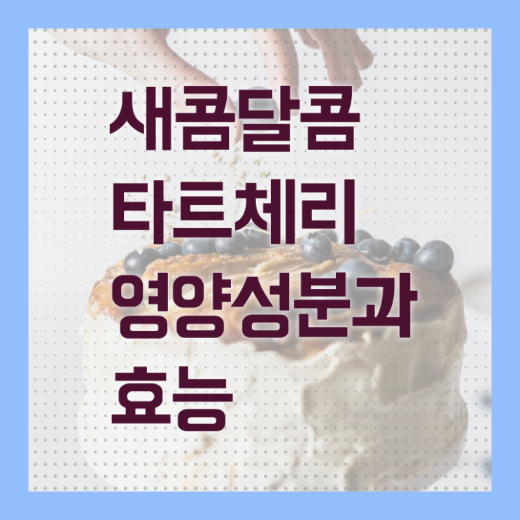  타트 체리 주스 부작용 전격분석 !