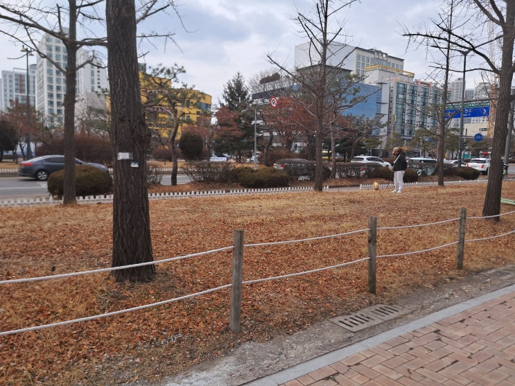  의정부 손해사정사 및 손해사정인의 상세한 상담 자문