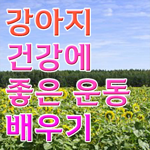  반려견운동지도사 1급 자격증 공부 완벽 정리 ?!