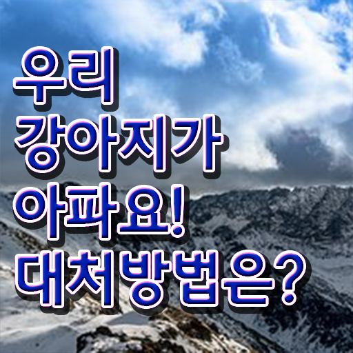  강아지 열날때 증상 대처법 이건 꼭 봐야해요 .