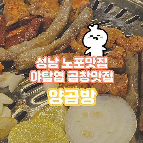  성남 야탑 곱창맛집, 분당 가장 오래된 노포 곱창집 [양곱방]