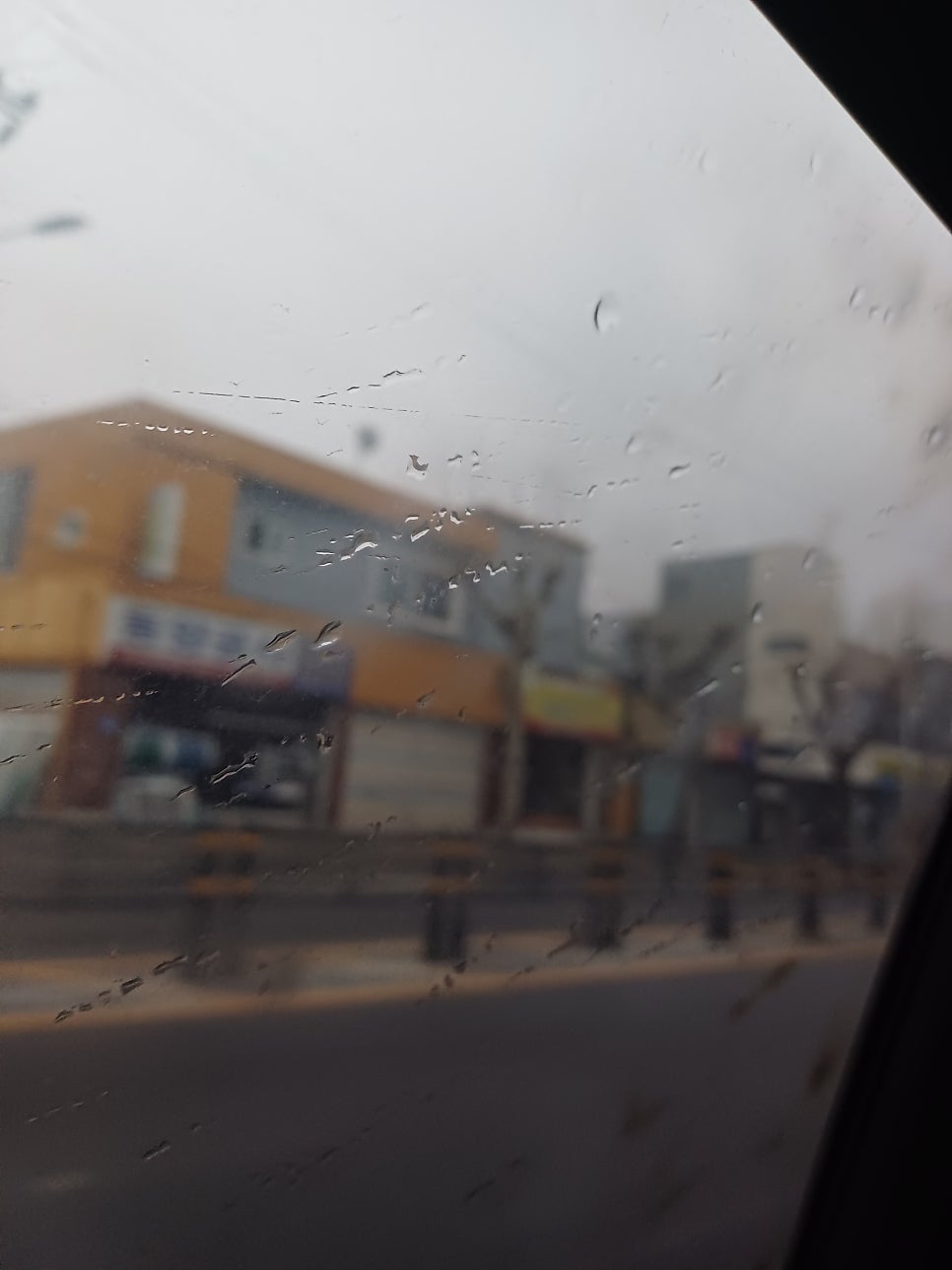 대전해물회수산 사진 3