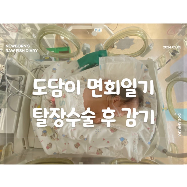 도담이 면회일기 탈장 수술 후 치료 및 감기 도담이 면회일기 탈장 수술 후 치료 및 감기