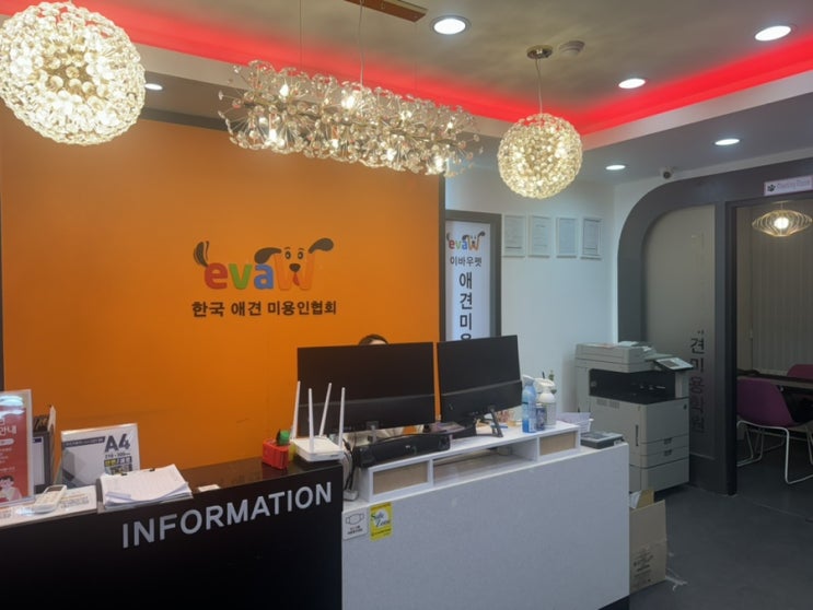  일산애견미용학원 정발산역 이바우펫 장학생 모집