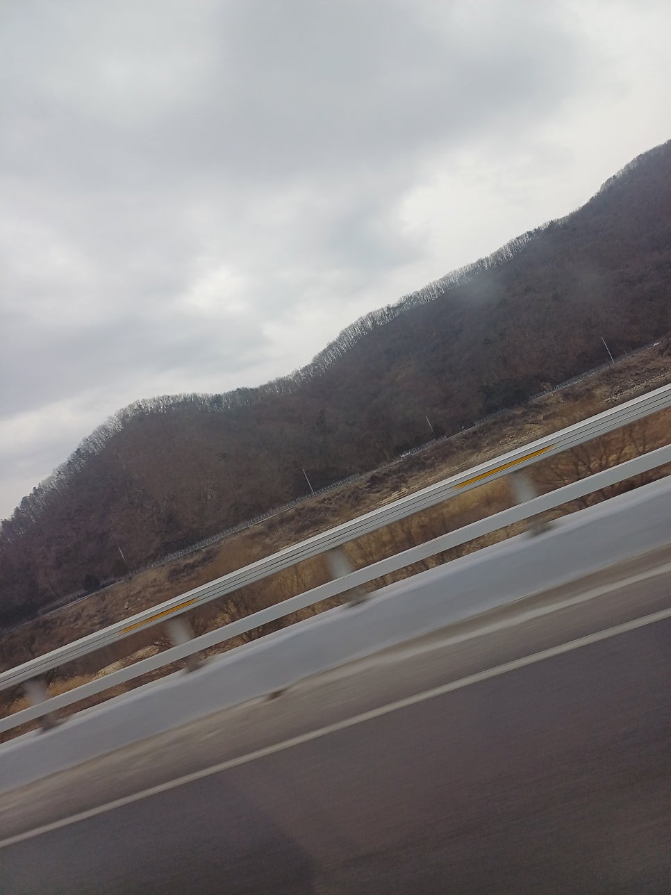 대전해물회수산 사진 2