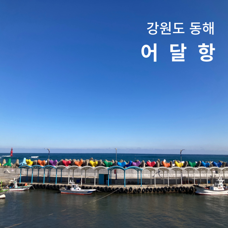  강원도 동해 가볼만한곳 어달항 무지개 방파제 아침햇살정원 포토존